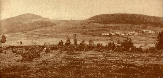 Oberbreitenau In Der Gemeinde Bischofsmais